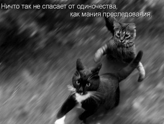 Спасите! Помогите!