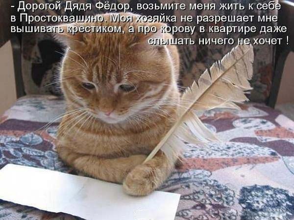 Письмо кота Матроскина
