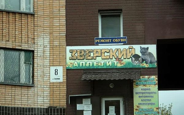 прикольные картинки