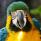 Nick Ulin
рейтинг: 187 Nick Ulin
рейтинг: 187