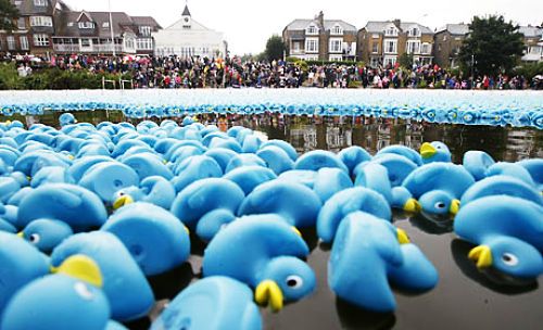 Утики спят...