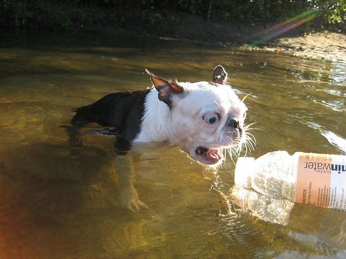 а-а-а-а!! все выпили?!!