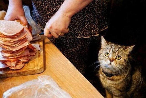 Пускай это все будет для меня!...