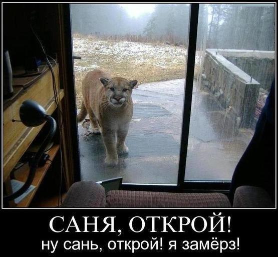 Саня, ну открой...