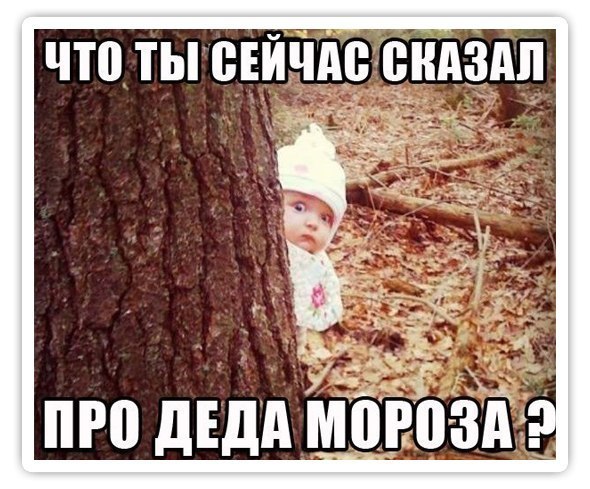 Что ты сказал про Деда Мороза?