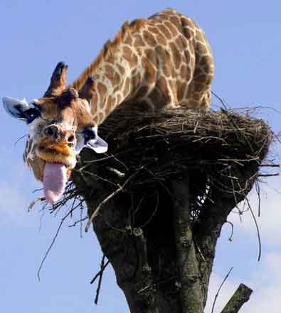 Во, погуляли вчера! Подайте опохмелиться!