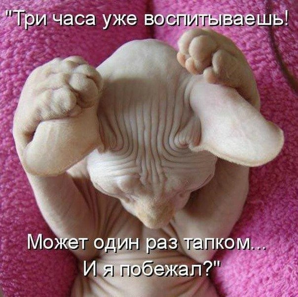 методы воспитания