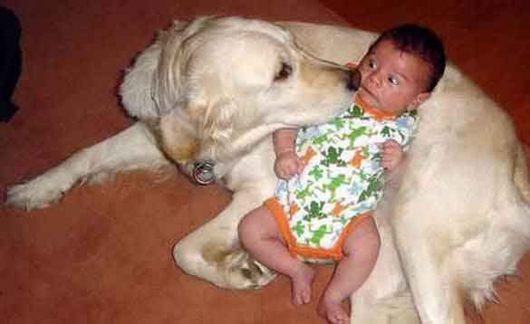 Отличная нянька !