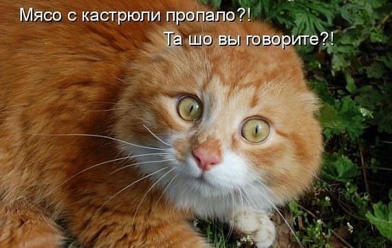 Да я вооще вегетарианец.