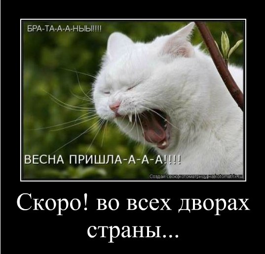 Как трудно найти подругу, если не умеешь обращать на себя внимание.