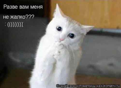 пожилети меня пожалуста