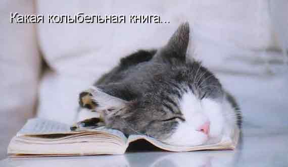 утомленные чтивом спим мы очень красиво!!! Мрррр!