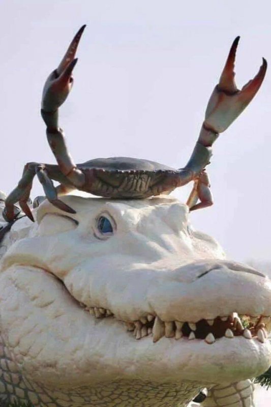 Тандем ))