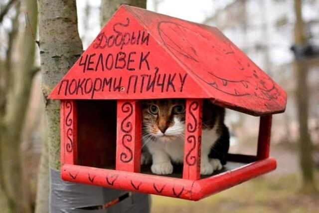 Стратег