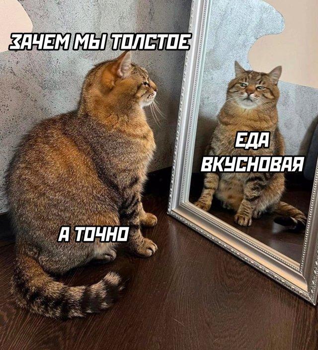 Правильно поставленный вопрос - залог успеха.
