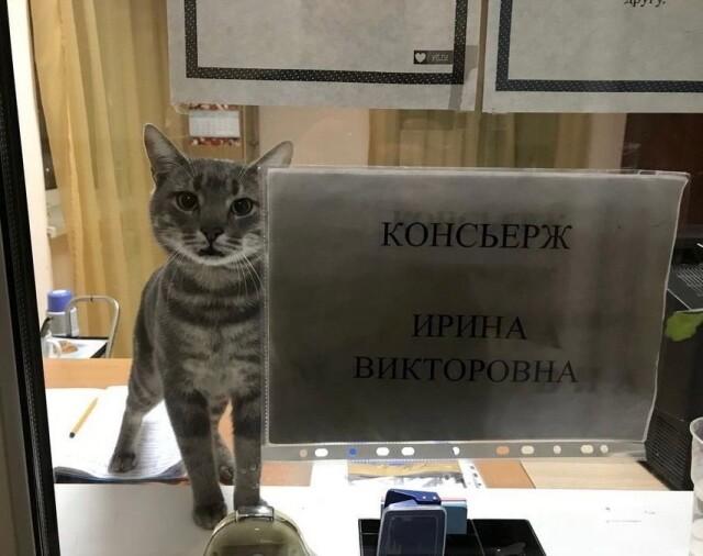 Да, это я ))