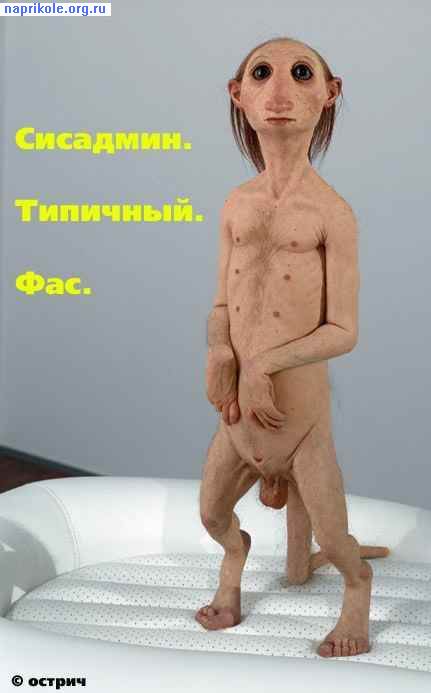 Ой, Путик пришел....