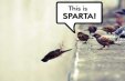 THIS IS SPARTA!!!