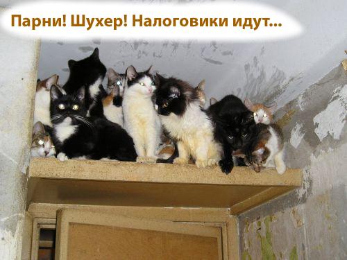 Жизнь тех, кто не продлил миграционную карту