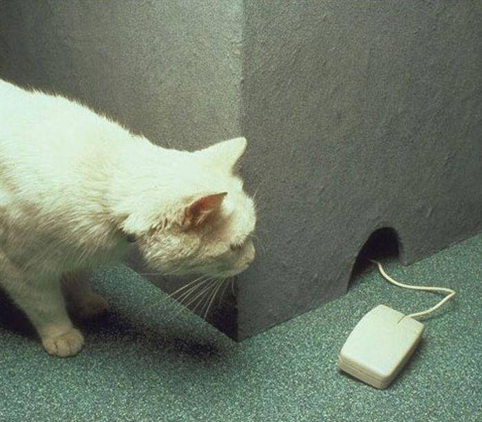 тыыыыыы ктоооооо????