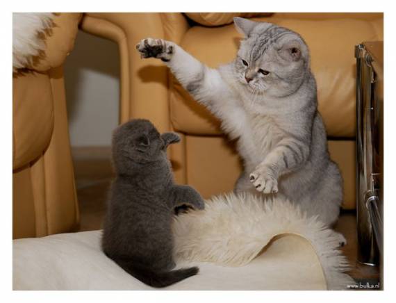 Воооот такую вчера поймал