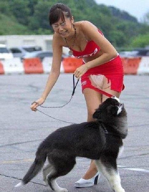 А помнишь ты мне по морде веником?!!