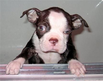 Есть чё похмелиться?