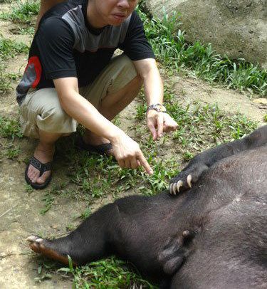 Катя, смотри у него еще меньше