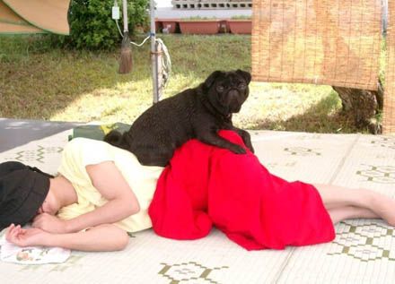 Бесплатный массаж.