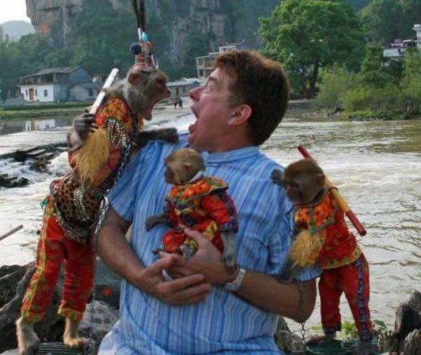 Полемика приматов или тренинг перед выборами в ГД.