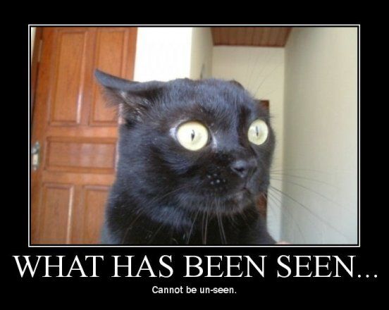 Вы что с ума сошли, какая еще операция.