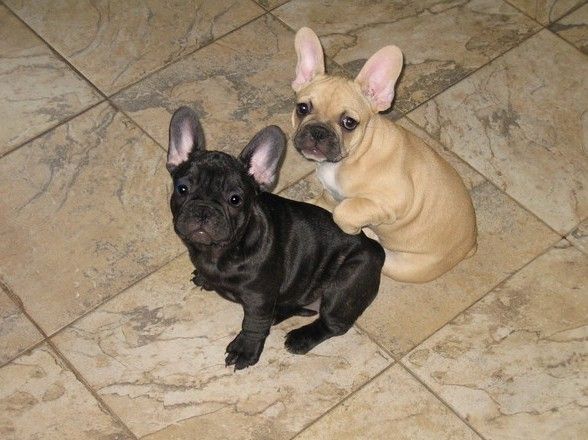 Жадюга!Не поделился!!!