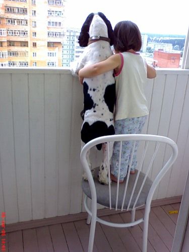 Вооон твои бесятся, точно как мои в спальне