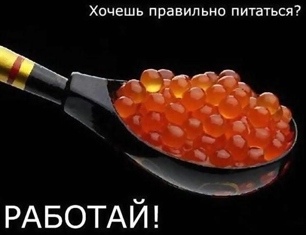 Иди худей! Жирна ж.па!