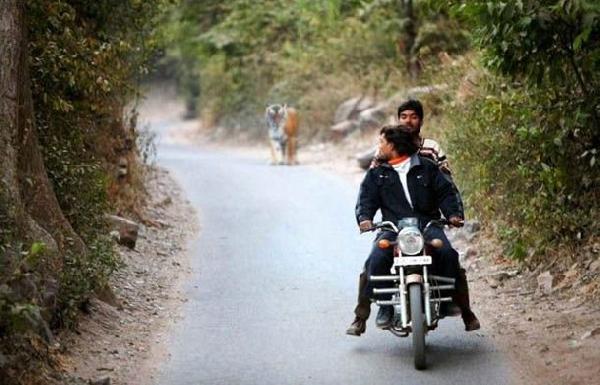 Как это бензин закончился?