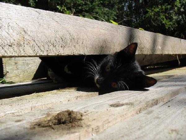 Эх, Ленин, Ленин, кинул ты меня.