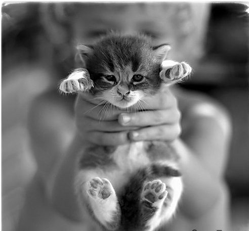 отпусти меня............отпусти.....на волю....