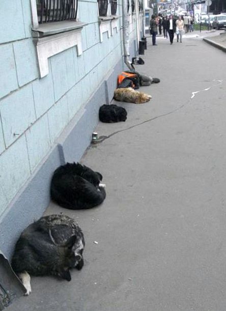 пока всех не пожалею - не уйду