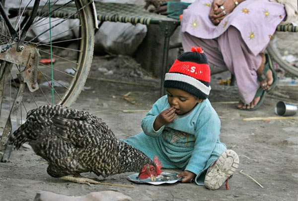 Тебе половина и мне половина...