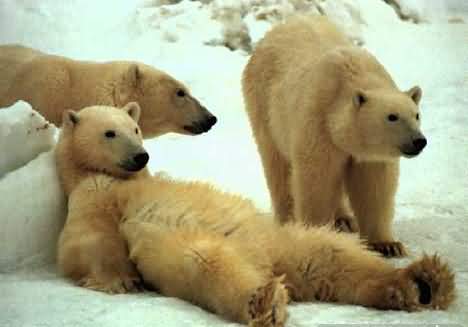 Ох и погулял..