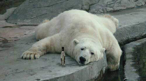 АРКТИКА ТАЕТ... - ну, - за всемирное потепление!