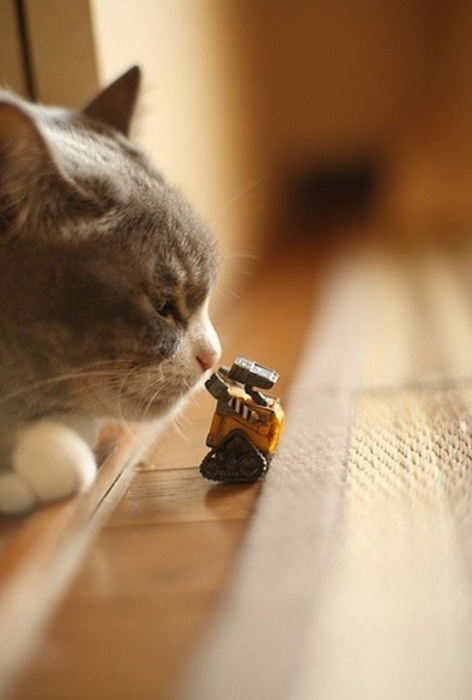 Пи.здец подкрался незаметно...!!!