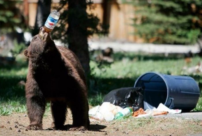 Боже, ну и сушняк!