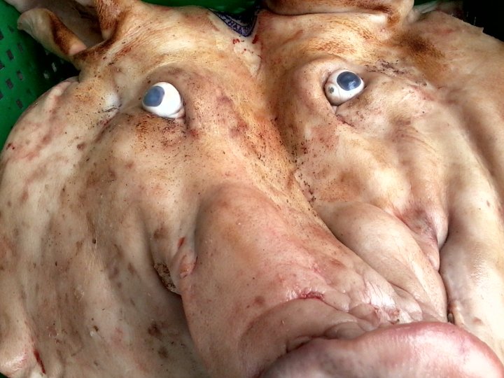 -мне не кто не сказал,что за границу я по частям поеду! -я, в шоке!