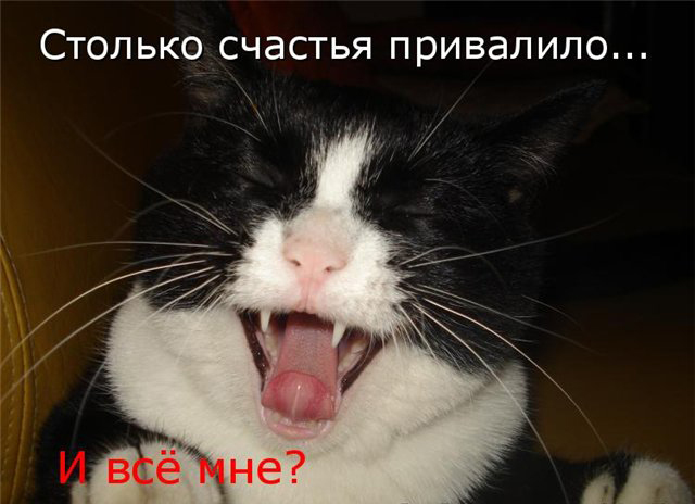 Была бы валерьянка, и месяц март на улицееее!!!