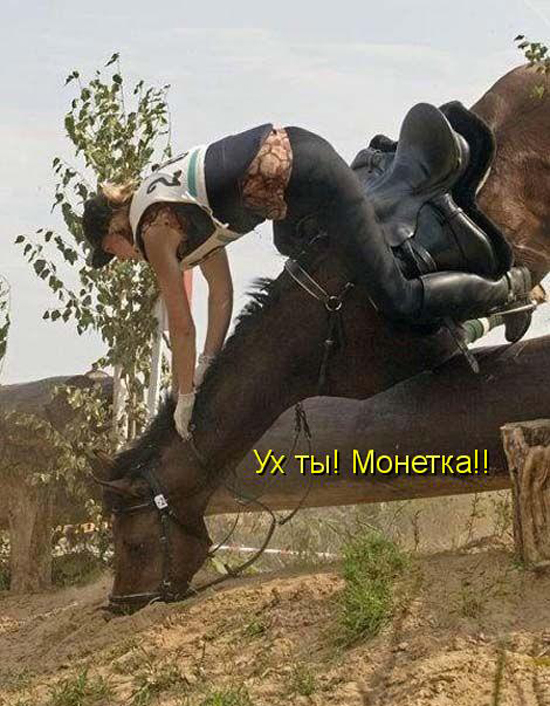 Ух ты!! Монетка!!!