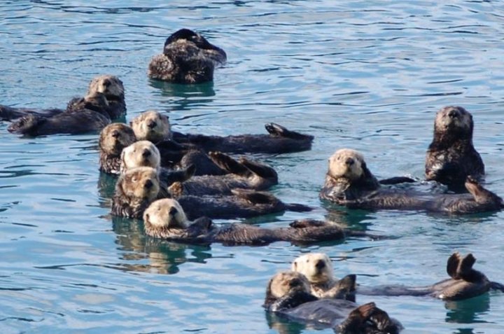 Мальчишник в море