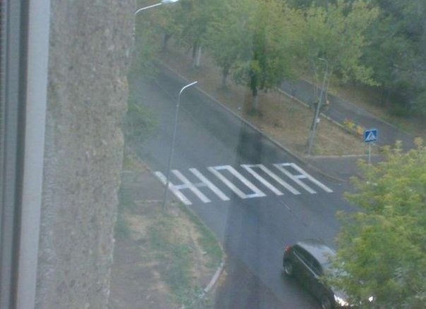 Такие дороги только в Росии.