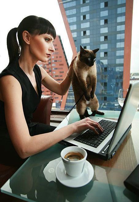 Жуть! Опять она мне невесту подыскивает!