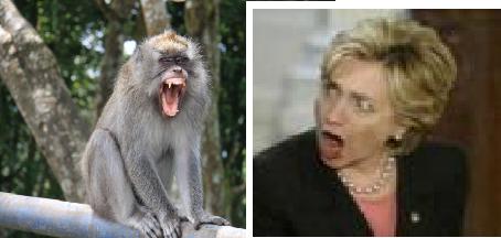 ХКлинтон: за культуру полемики!